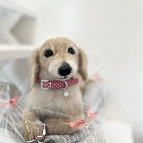 オーダー 羊毛フェルト犬♡世界でたった一つ♡ダックスフンド ペット