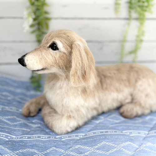 オーダー 羊毛フェルト犬♡世界でたった一つ♡ダックスフンド ペット