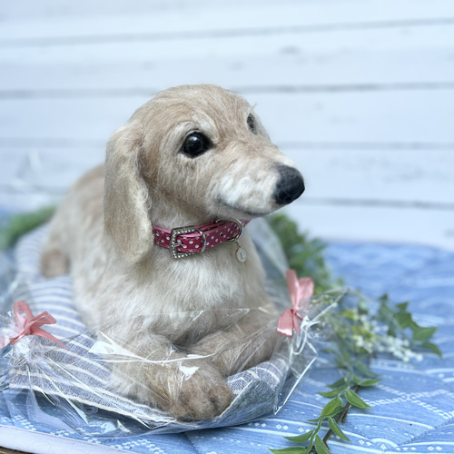 オーダー 羊毛フェルト犬♡世界でたった一つ♡ダックスフンド ペット