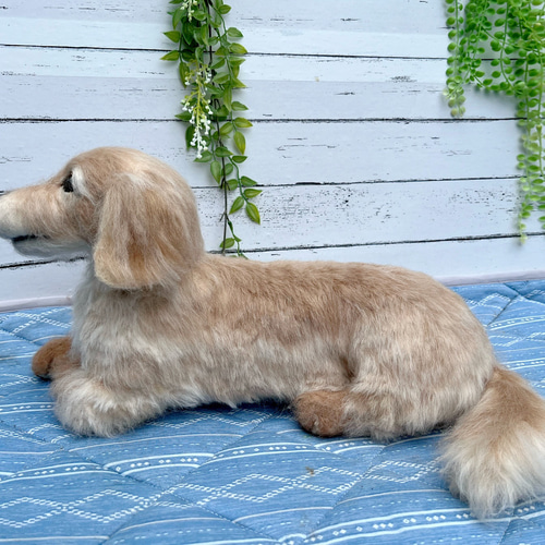 オーダー 羊毛フェルト犬♡世界でたった一つ♡ダックスフンド ペット