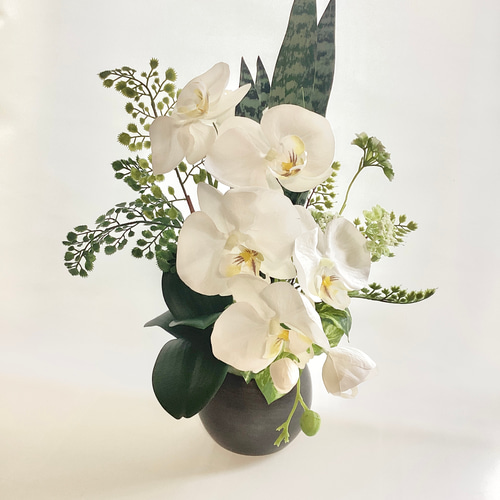 光触媒フラワー 胡蝶蘭とローズの豪華スワッグ｜開店祝い・開業祝い