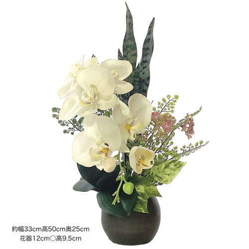 枯れない「胡蝶蘭、サンスペリア」光触媒加工 お祝い、お供え、開店