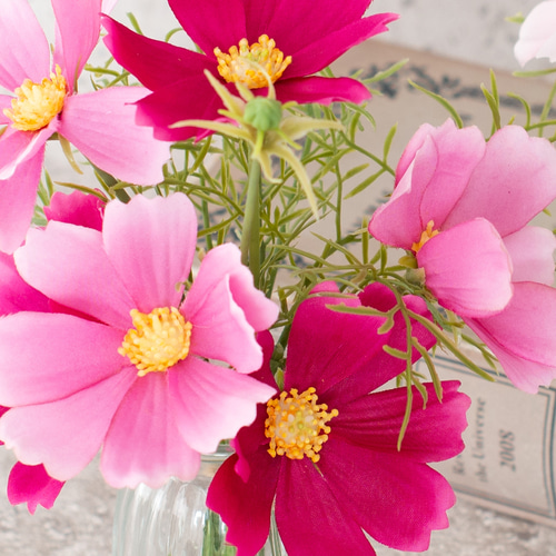 コスモスのマジカルウォーターアレンジ【6本/H20cm】光触媒加工可