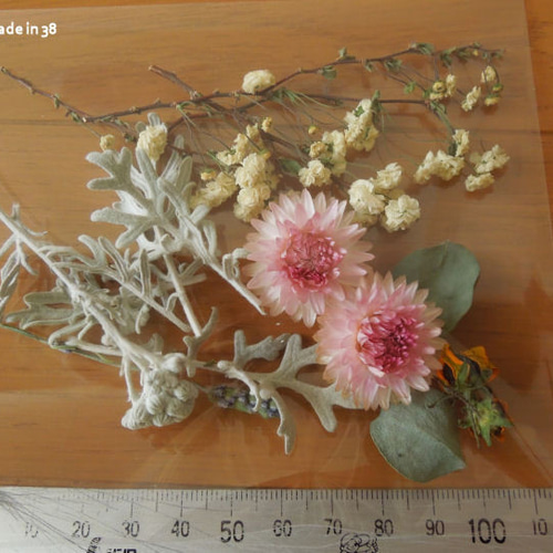 ドライフラワー 貝細工 ユキヤナギ シロタエギク 小花 葉 パーツ ミニ 