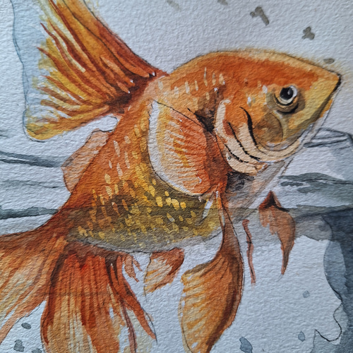 水彩画 跳ねる金魚 絵画 makochin 通販 18113695|Creema(クリーマ) 水彩画 跳ねる金魚 絵画 makochin 通販 18113695|Creema(クリーマ)