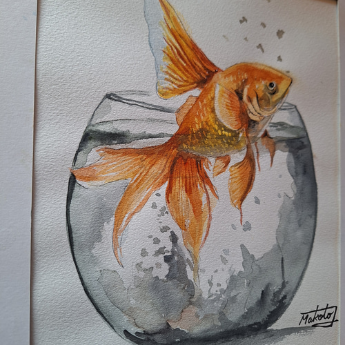 水彩画 跳ねる金魚 絵画 makochin 通販 18113695｜Creema(クリーマ)