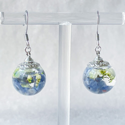 クラゲのガラスドームピアス ブルー ピアス（フック・チェーン） はな