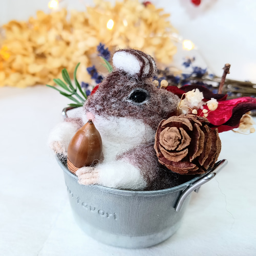 ハムスター用品のまとめ売り(バラ不可) ハムスター用品のまとめ売り(バラ不可) Money Drain] Hamster