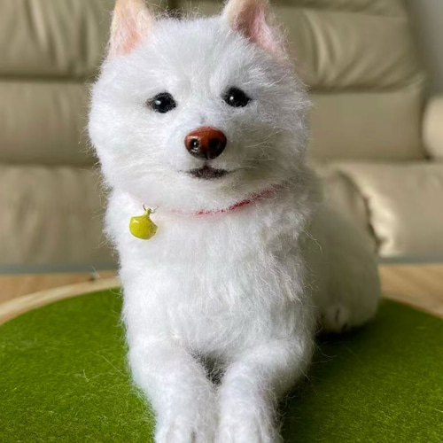 愛犬・愛犬リアルオーダーメイド羊毛フェルト（全身立体型） #犬 #猫