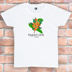 20b0ce2d424dcfc6b0d7bb670e207f