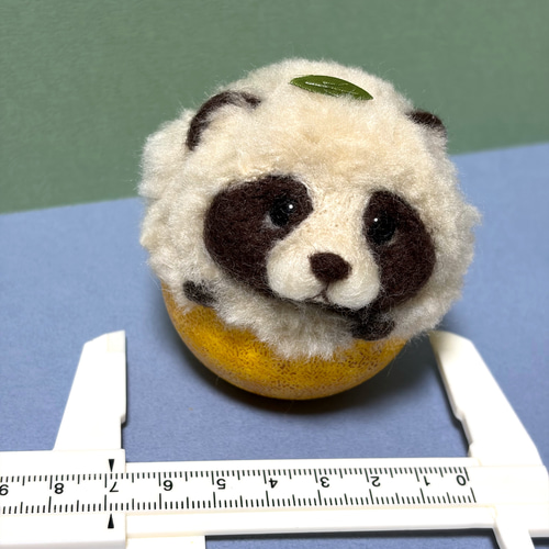 入ってます もふもふ柚子タヌキ 【羊毛フェルト人形】⑥ 羊毛フェルト