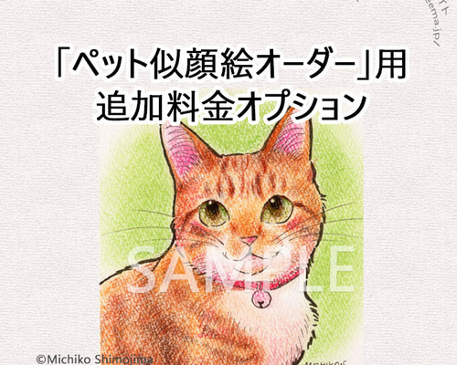 ペット似顔絵オーダー用オプション料金 絵画 strings cat 通販