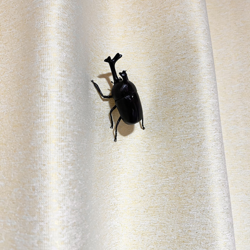 木彫カブトムシブローチ ブローチ ショップAtelier YUMI 通販 18115721