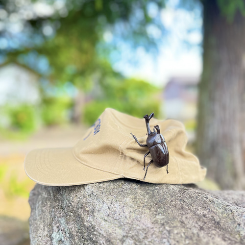 木彫カブトムシブローチ ブローチ ショップAtelier YUMI 通販 18115721