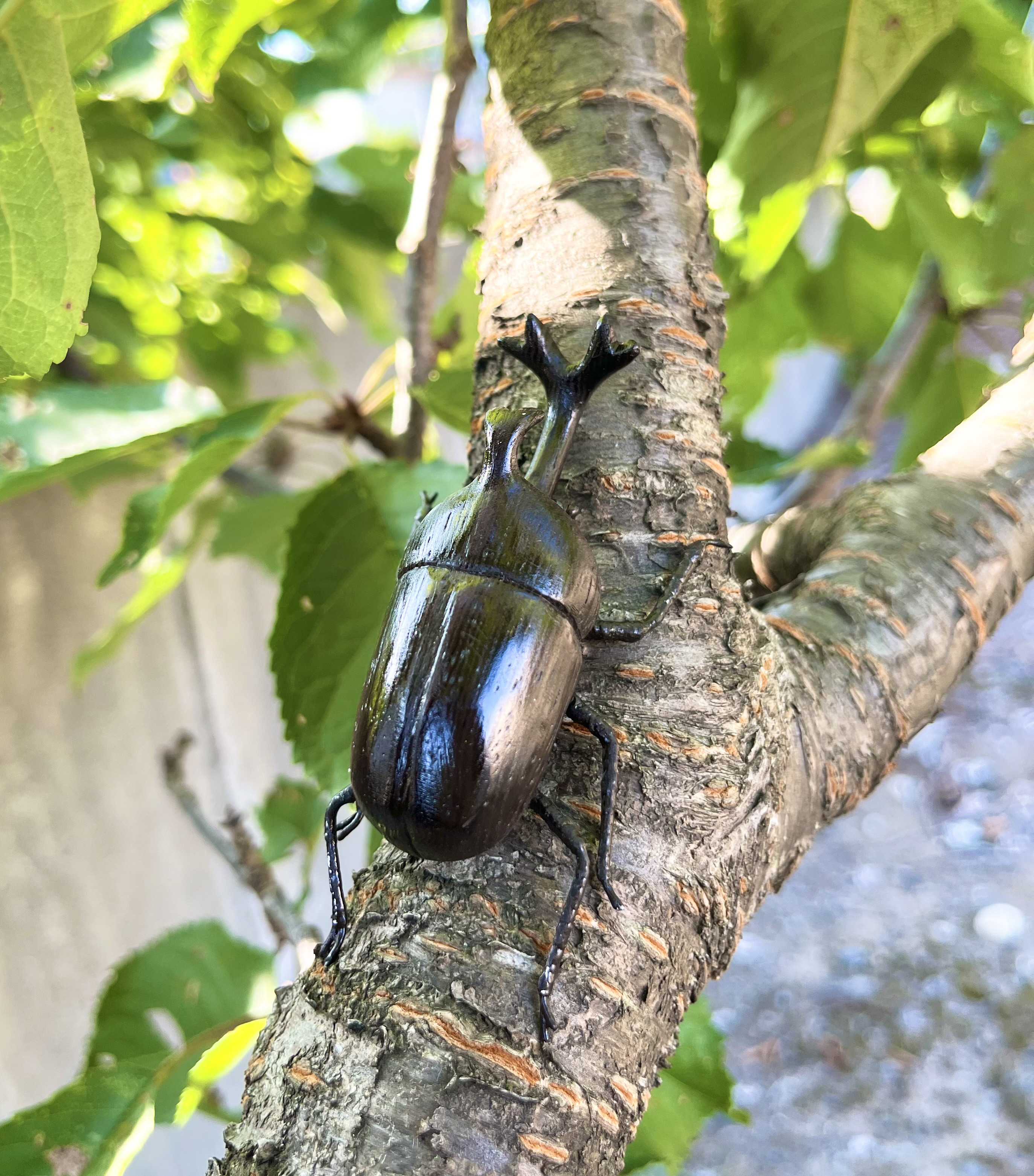 【工芸品】木彫りカブトムシアイヌ模様　ブローチ 木彫カブトムシブローチ ブローチ ショップAtelier YUMI 通販