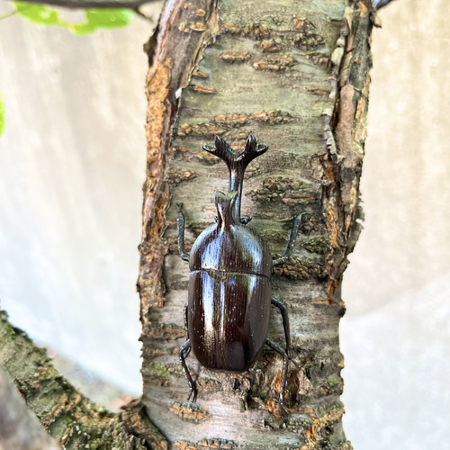 【工芸品】木彫りカブトムシアイヌ模様　ブローチ 工芸品】木彫りカブトムシアイヌ模様 ブローチ 2025年最新】アイヌ