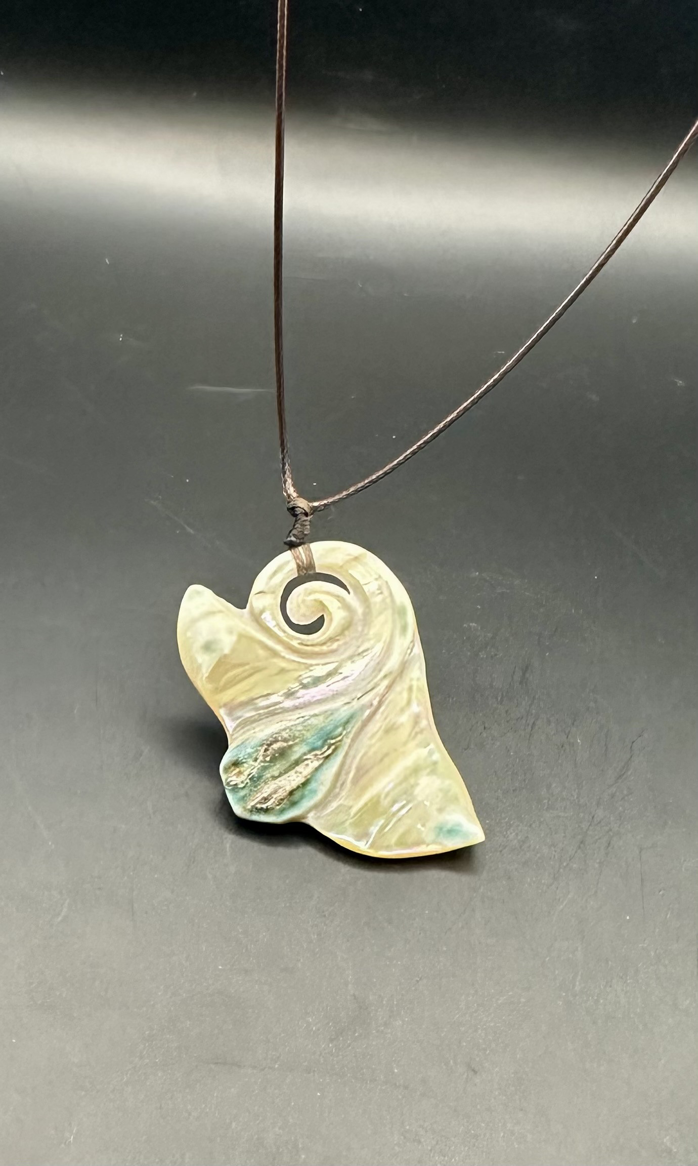 海霊　幻の虹彩魔鬼魚　鹿児島夜光貝