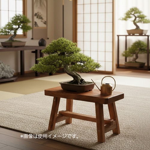 1点のみ】空間を飾る欅 一枚板 花台 踏み台 補助台 サイドテーブル