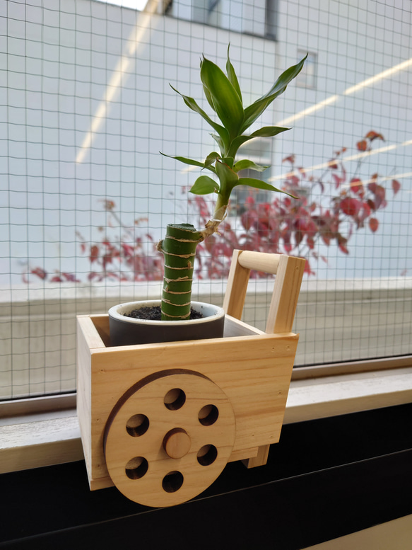木製台車型プランター ハーバリウム・植物標本 松尾木工所 通販