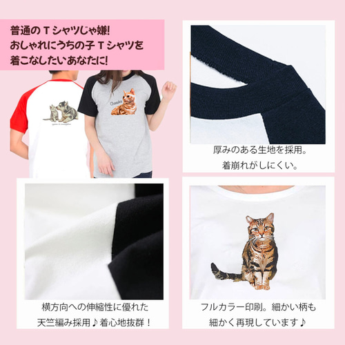 うちの子ラグランおしゃれ半袖Tシャツ（犬/猫/うちの子グッズ/猫グッズ
