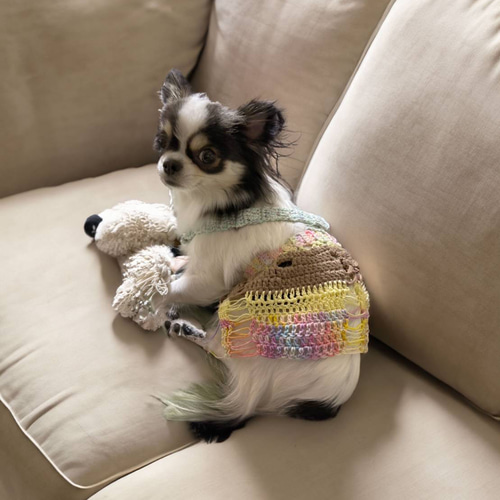 犬服ハンドメイド ダメージ風 【公式通販】