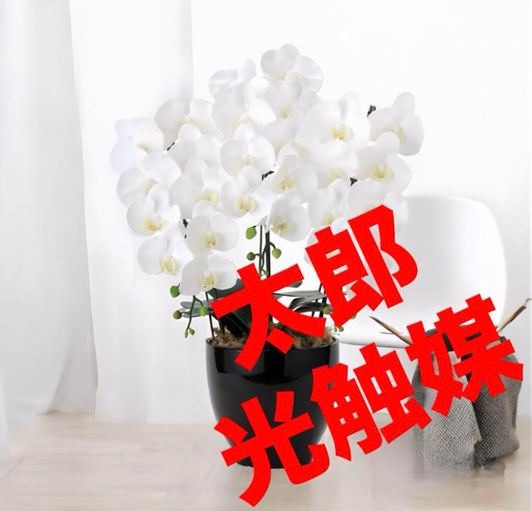 光触媒人工観葉植物フェイクグリーンフレッシュ胡蝶蘭5本立W