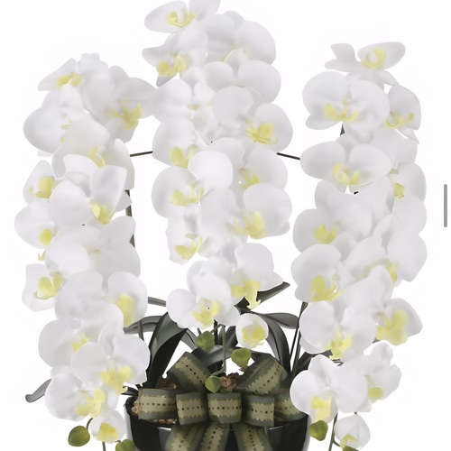 光触媒 人工観葉植物 ウォールグリーン フェイクグリーン ロイヤル胡蝶