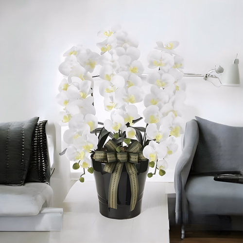 光触媒　人工観葉植物　ウォールグリーン　フェイクグリーン　ロイヤル胡蝶蘭W/AB 光触媒 人工観葉植物 ウォールグリーン フェイクグリーン ロイヤル胡蝶