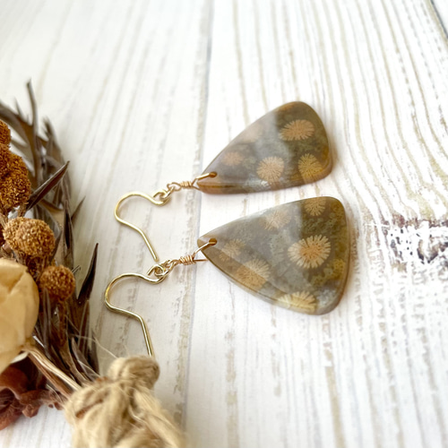 送料無料】 14kgf 天然石 一点もの⭐︎ 秋色フォシルコーラル シンプル