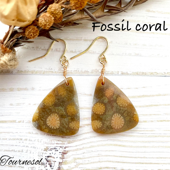 送料無料】 14kgf 天然石 一点もの⭐︎ 秋色フォシルコーラル シンプル