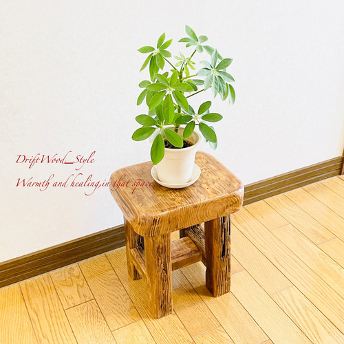 流木インテリア 舟板の流木で作った流木スツール フラワー