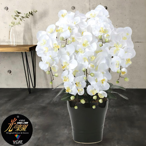 光触媒人工観葉植物ウォールグリーンフェイクグリーンキング胡蝶蘭7本立W