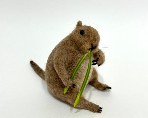 426a6e7cc32ecf7f8fd277d7a39400