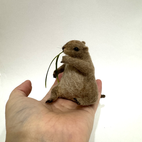 羊毛＊プレーリードッグ（座） 羊毛フェルト 華梨 通販 18116901