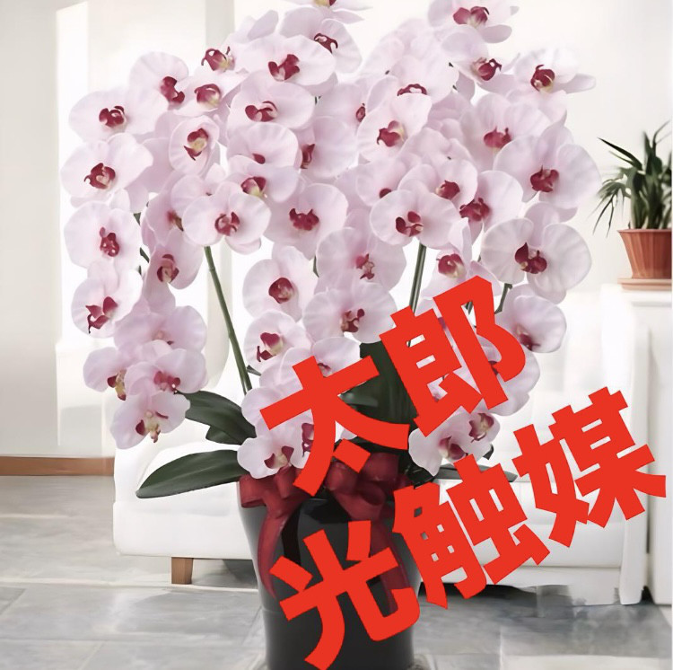 光触媒 人工観葉植物 フェイクグリーン プレミアム胡蝶蘭7本立W/AB