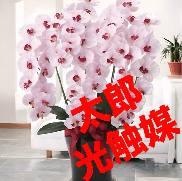 光触媒人工観葉植物フェイクグリーンプレミアム胡蝶蘭5本立P