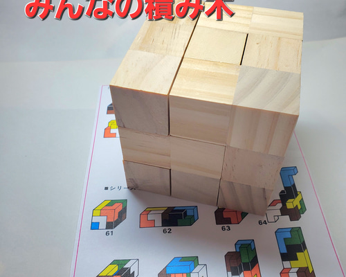 ニキーチンみんなの積木 ニキーチンみんなの積木【知育玩具】 | 七田式公式通販
