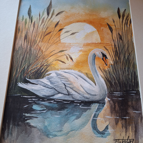 水彩画 夕陽に染まる白鳥 絵画 makochin 通販 18118393｜Creema