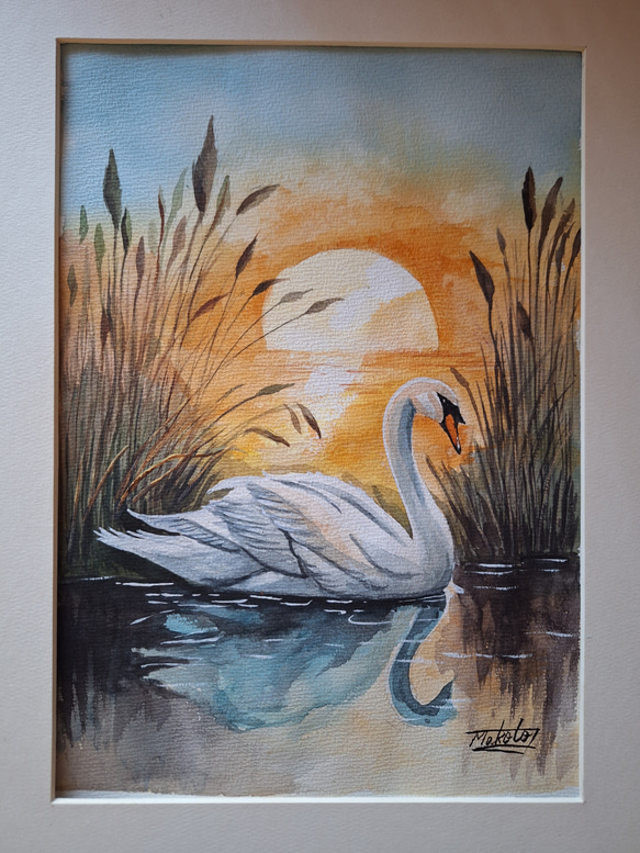 スーパーセール 目玉商品 水彩画 夕陽に染まる白鳥 絵画 makochin 通販 18118393｜Creema 絵画