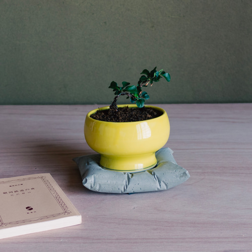 たんたん、Zuberi 30*40cm×2枚 39DWSkii1_grande.jpg?v=1710913948