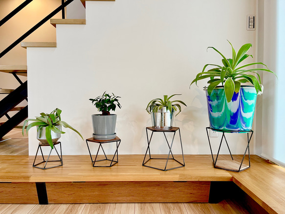 プランタースタンド “twisted” （M） アイアン 小物置き