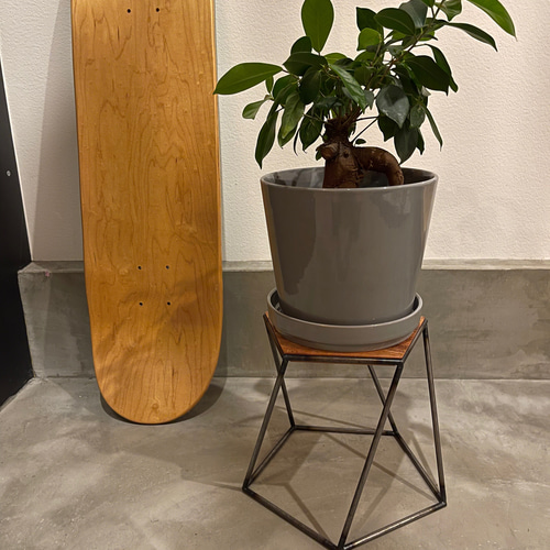 プランタースタンド “twisted” （M） アイアン 小物置き