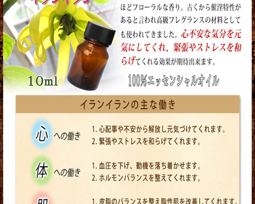 9ea24295e31a6020d03e45c383f81f