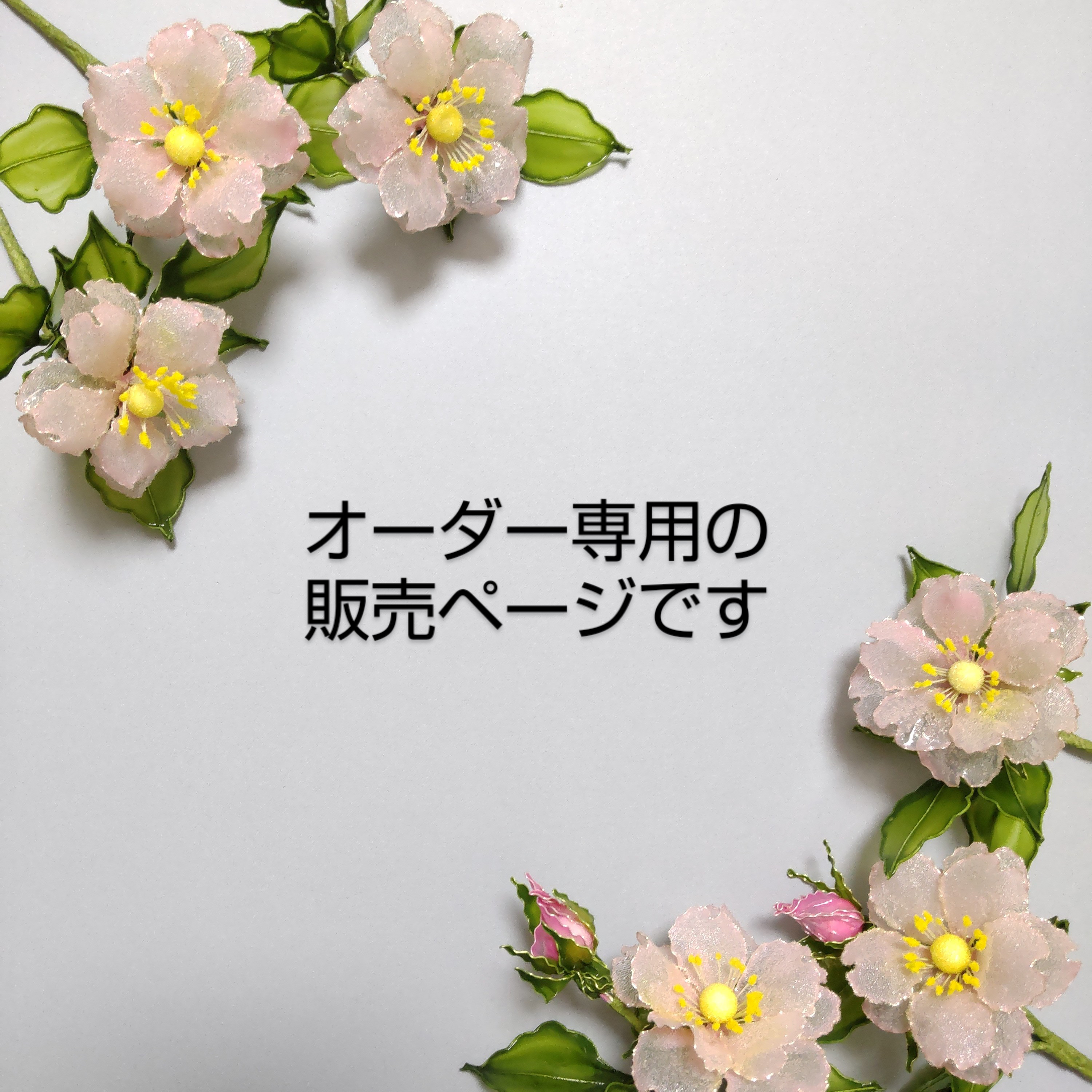 ハナ様専用 ハナ様専用 hana＊ 様 専用 ハナ様専用ページ hana様