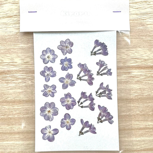 再販【押し花】ライラック（八重咲き）30輪 素材 花材 レジン