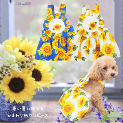 ハンドメイド　ナチュラルひまわり　立ち襟バルーンチュニック　犬服 36d9d154bb5e79639553b3dc64a910
