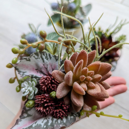 多肉植物アレンジメント*2 お祝い多肉植物アレンジメント – 祝花ワークス