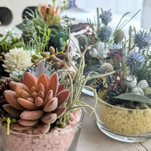 多肉植物＆グリーンアレンジメント カラーストーン YE/PK 寄せ