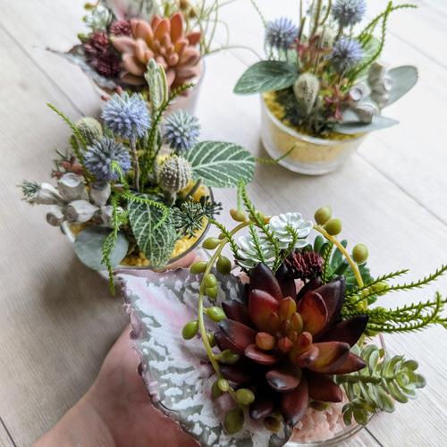 多肉植物＆グリーンアレンジメント カラーストーン YE/PK 寄せ植え風