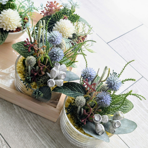 多肉植物＆グリーンアレンジメント カラーストーン YE/PK 寄せ植え風